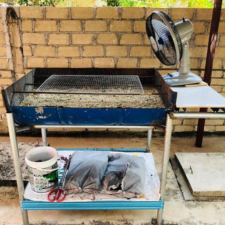 Homestay Tok Abah Dalam Rhu باسير بوته المظهر الخارجي الصورة