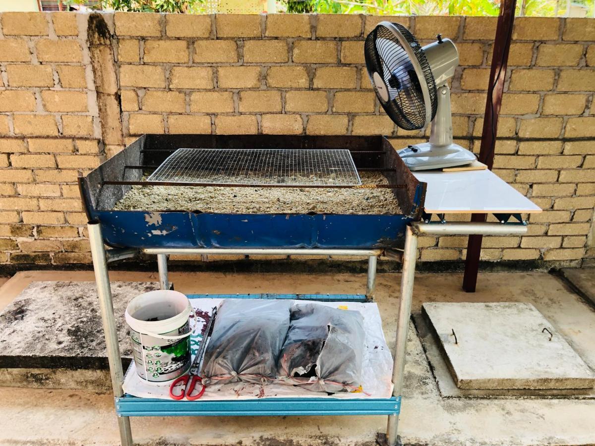 Homestay Tok Abah Dalam Rhu باسير بوته المظهر الخارجي الصورة